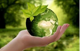 Earth Day 2025: Why It Matters More Than Ever