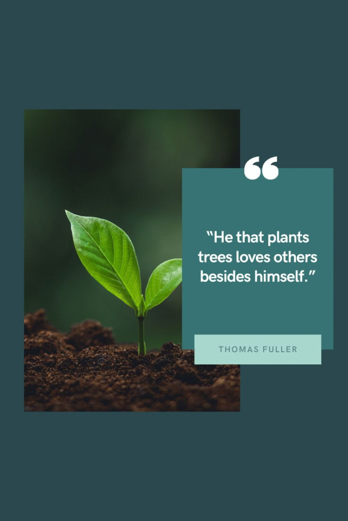 “He that plants trees loves others besides himself.”
– Thomas Fuller