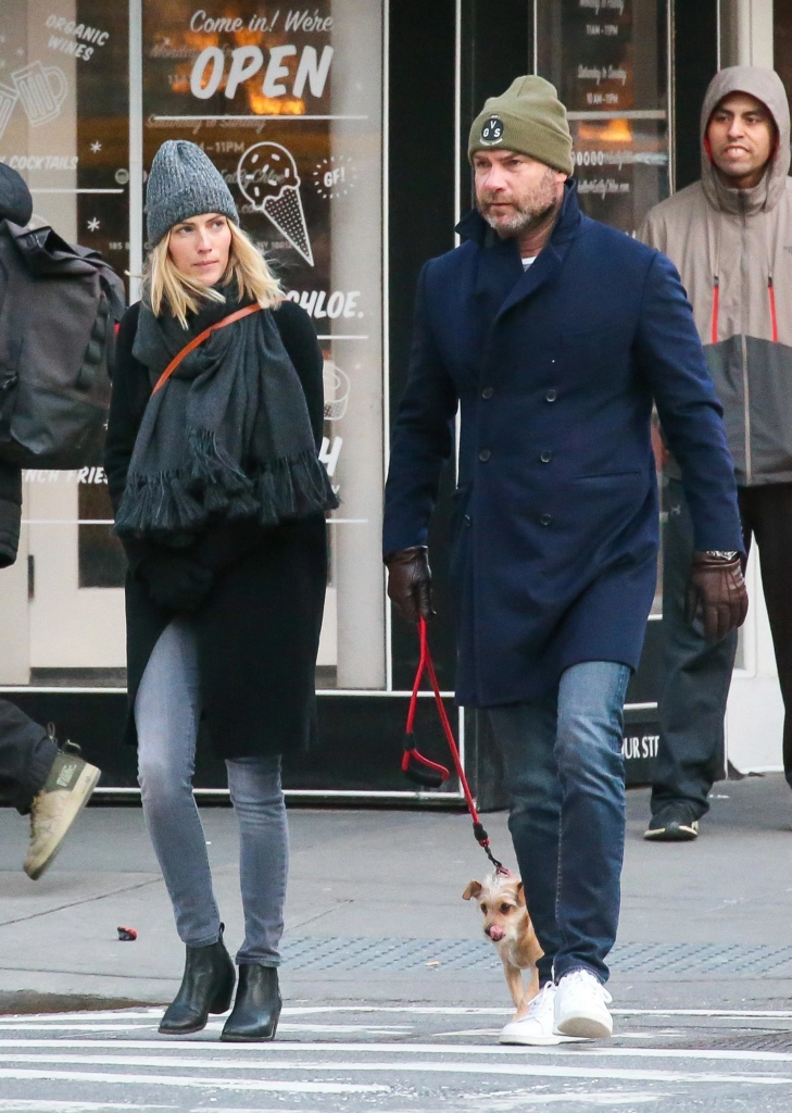 Liev Schreiber and Taylor Neisen walking their dog