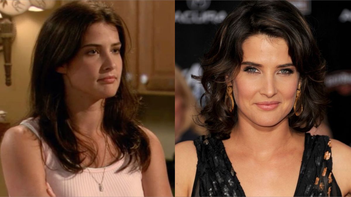 Cobie Smulders: How I Met Your Mother Star, Love Life & Career