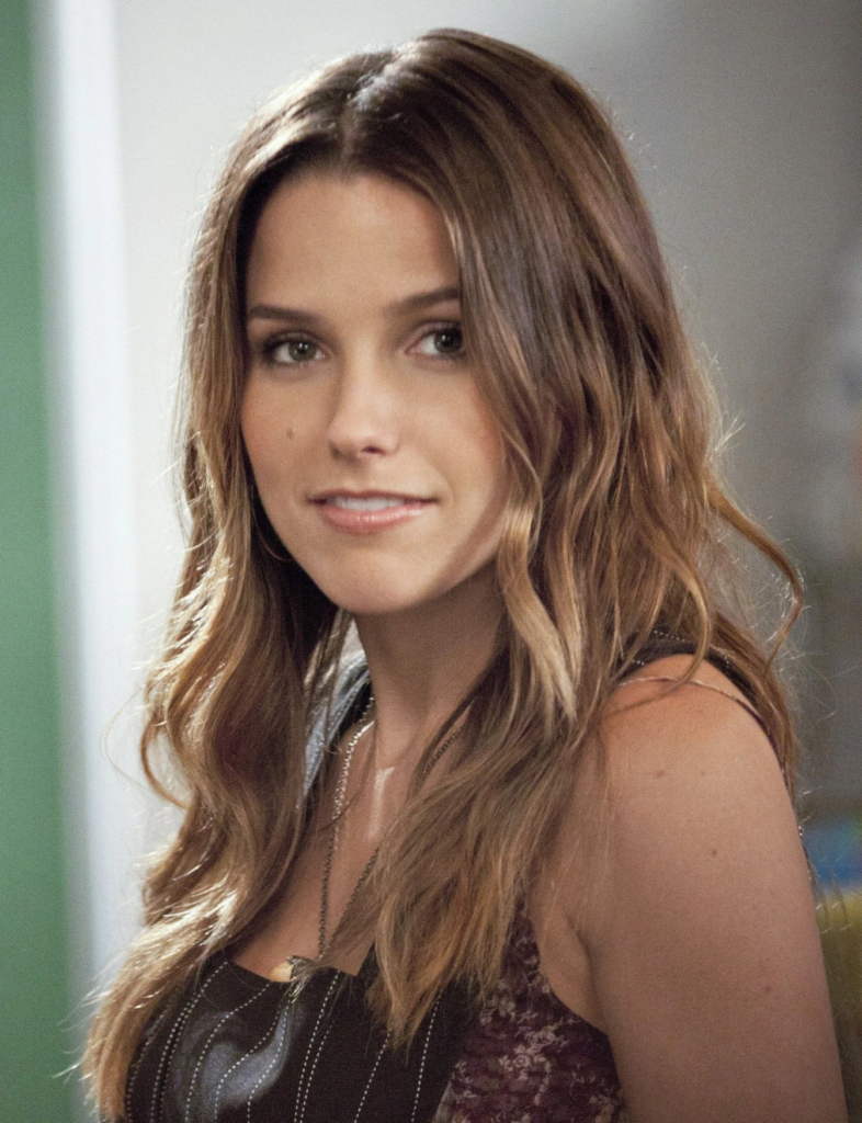 Sophia Bush as Brooke Davis on the television series, One Tree Hill