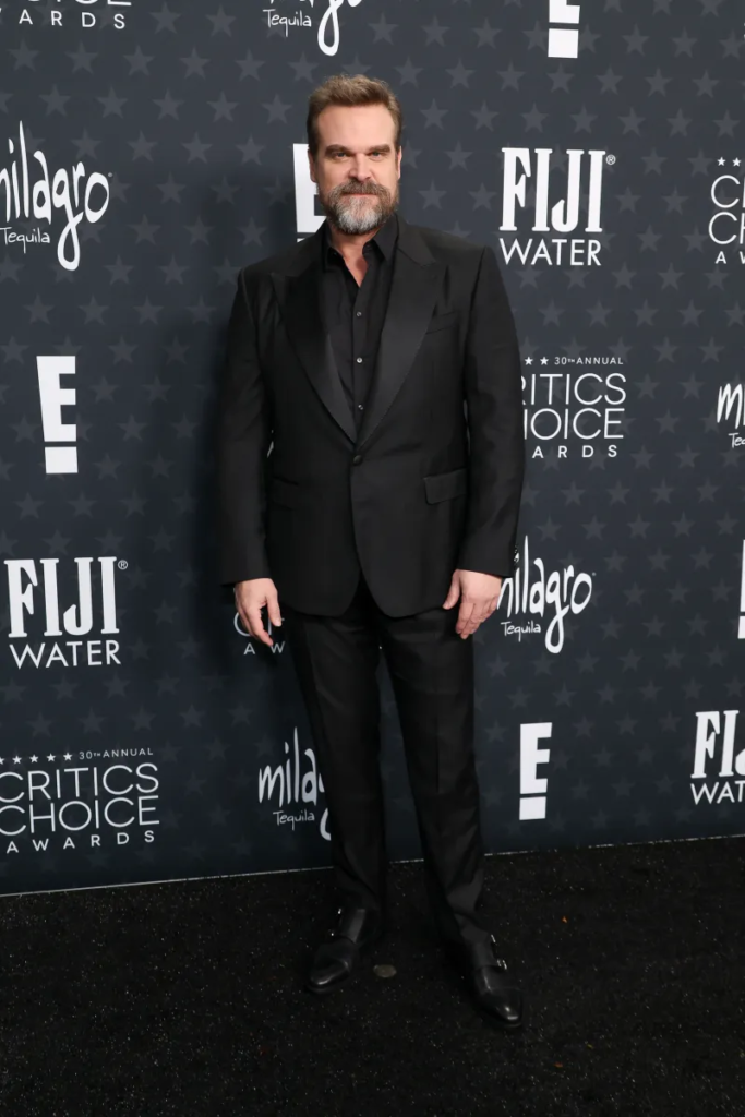 David Harbour attending the 30th Annual Critics' Choice Awards in Santa Monica on February 7, 2025.